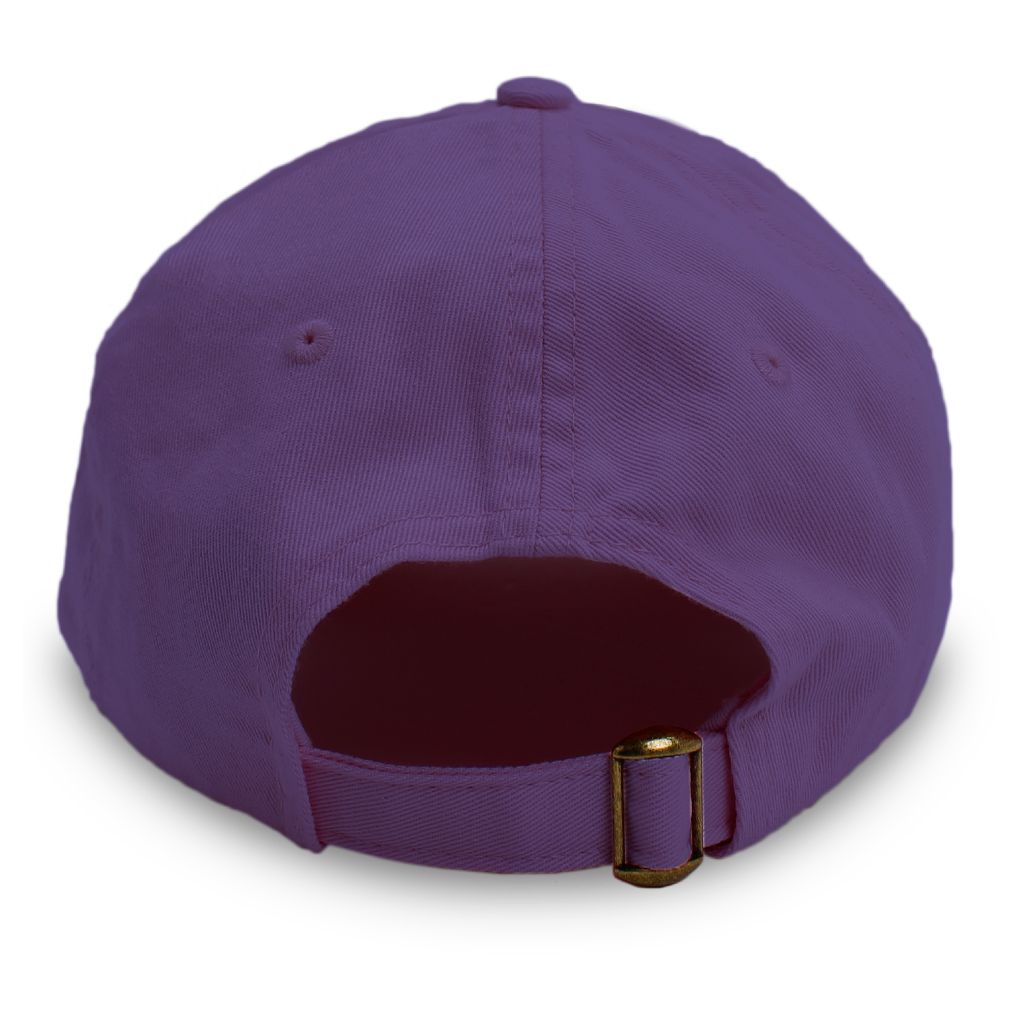 Touring Band Dad Hat