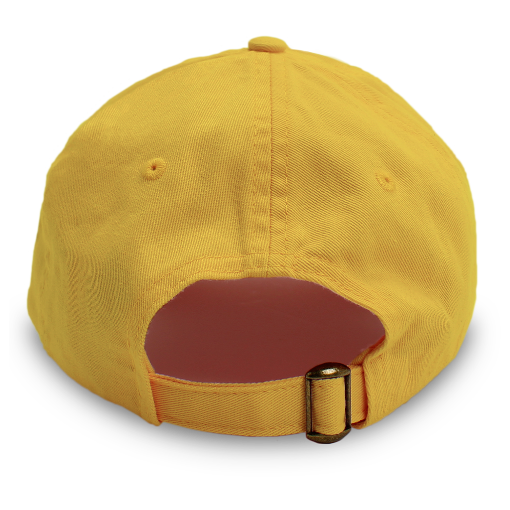 Touring Band Dad Hat