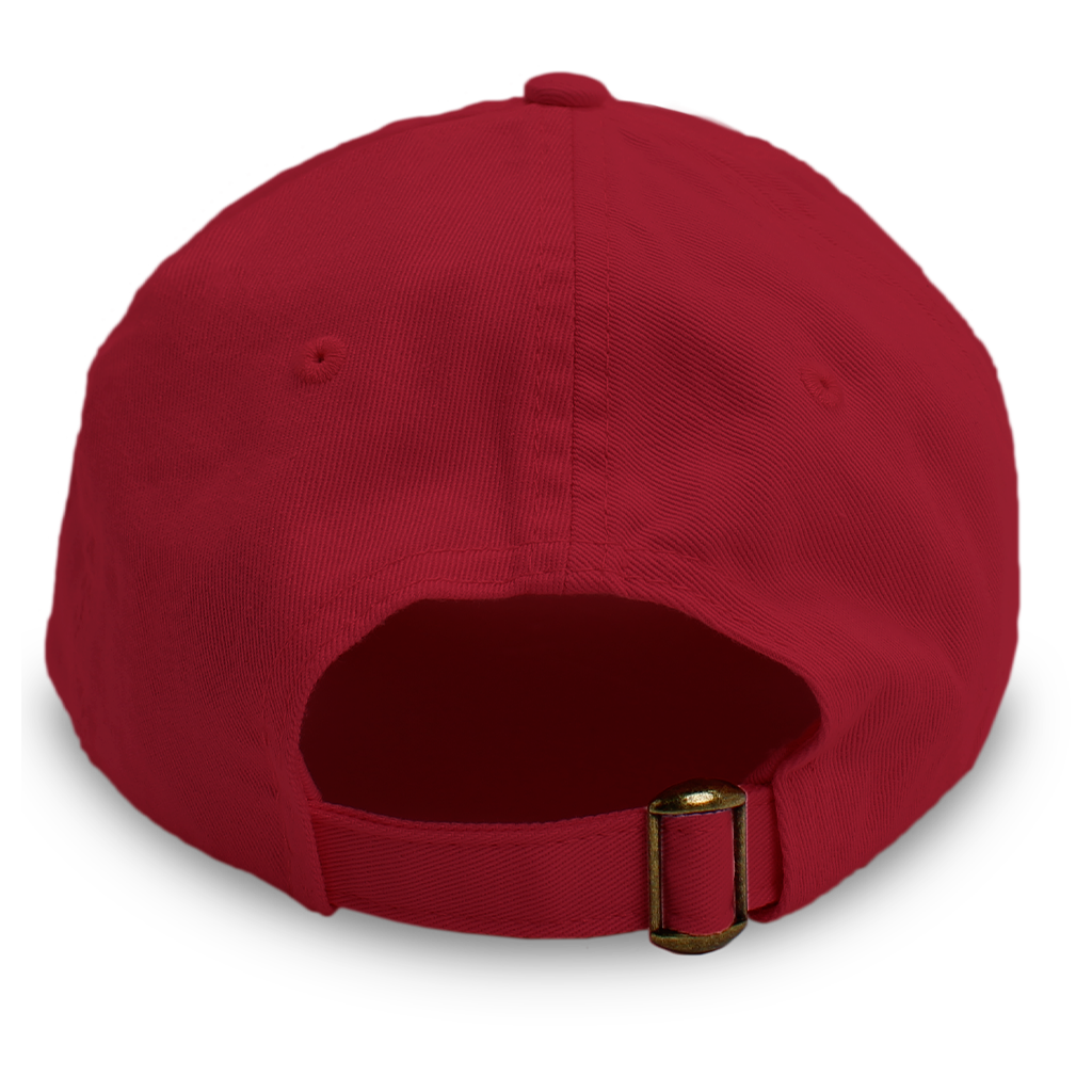 Touring Band Dad Hat